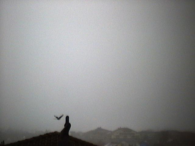 2010-01-20_09-00.jpg