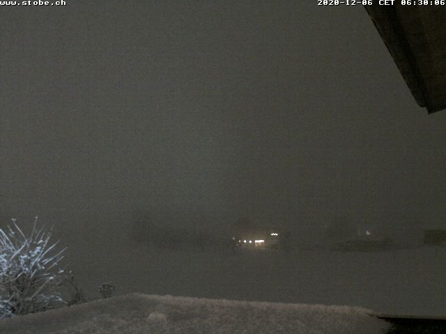 2020-12-06_06-30.jpg