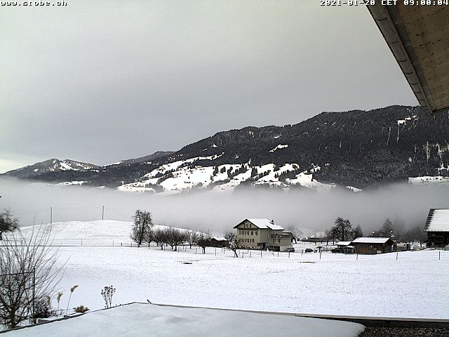2021-01-20_09-00.jpg